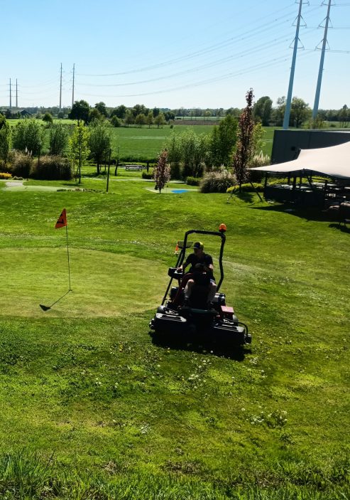 Pitch & Putt Golf 6