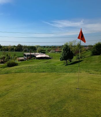 {{brizy_dc_image_alt entityId=